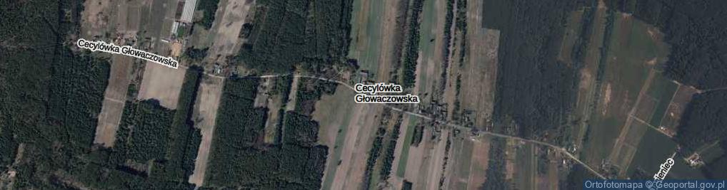 Zdjęcie satelitarne Cecylówka Głowaczowska ul.